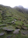 SX20369_A Wouko hiking up Craig Lwyd Cadair Idris.jpg